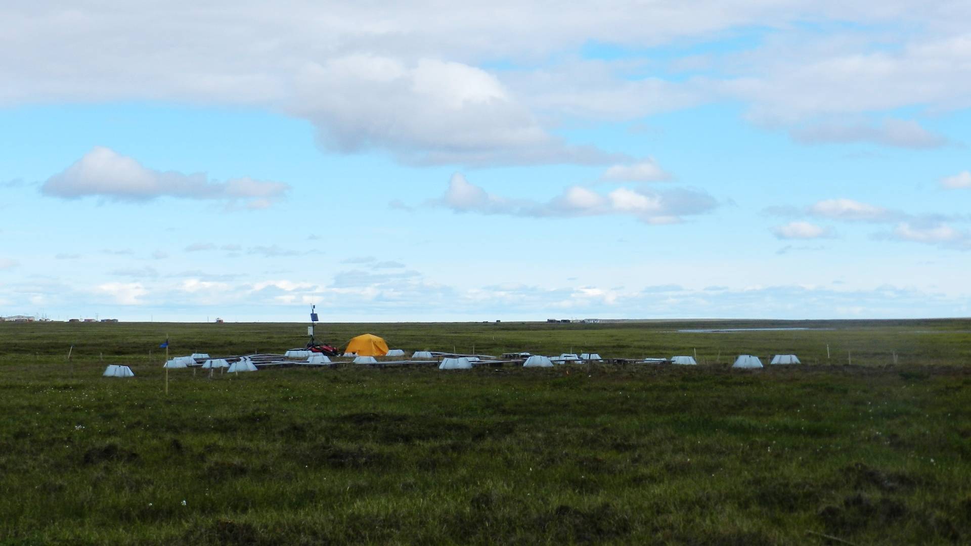 Photo in Atqasuk at the wet site.
